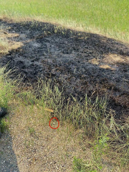 Poorly Discarded Cigarette Appears To Be Cause Of Grass Fire Last Week -  SwiftCurrentOnline.com