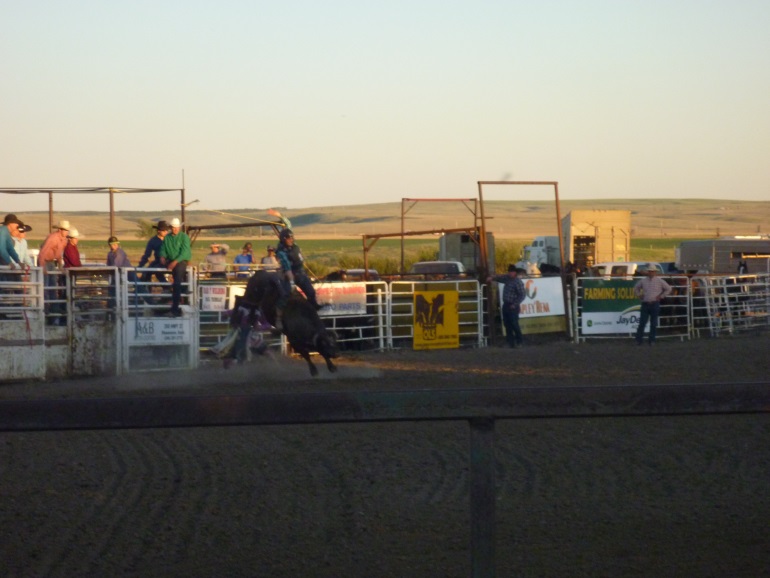 CCA Rodeo in Shaunavon - SwiftCurrentOnline.com - Local news, Weather ...